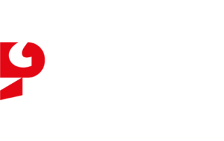 logo Instytut Rozwoju Języka Polskiego